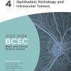 Basic and Clinical Science Course Ophthalmology BCSC Complete Set 13 VOL 2023 2024 - Image 4