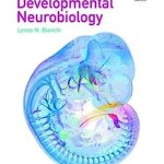 Developmental Neurobiology