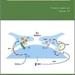 Endocannabinoids