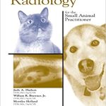 Abdominal Radiology for the Small Animal Practitioner