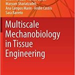 Multiscale Mechanobiology in Tissue Engineering