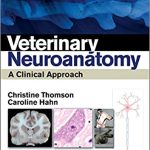 Veterinary Neuroanatomy A Clinical Approach