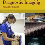 Practical Veterinary Diagnostic Imaging 2nd Edition