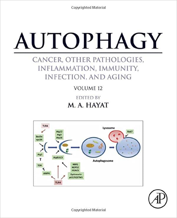 Autophagy Cancer Other Pathologies Inflammation Immunity Infection and Aging Volume 12