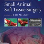 Small Animal Soft Tissue Surgery