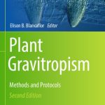 Plant Gravitropism Methods and Protocols 2nd Edition