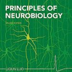 Principles of Neurobiology 2nd Edition