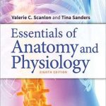 Essentials of Anatomy and Physiology 8th Edition By Valerie C Scanlon