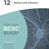 Basic and Clinical Science Course Ophthalmology BCSC Complete Set 13 VOL 2023 2024 - Image 12