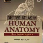 Netter Atlas of Human Anatomy Classic Regional Approach 8th Edition