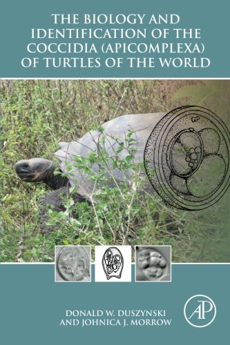 The biology and identification of the Coccidia Apicomplexa of turtles of the world